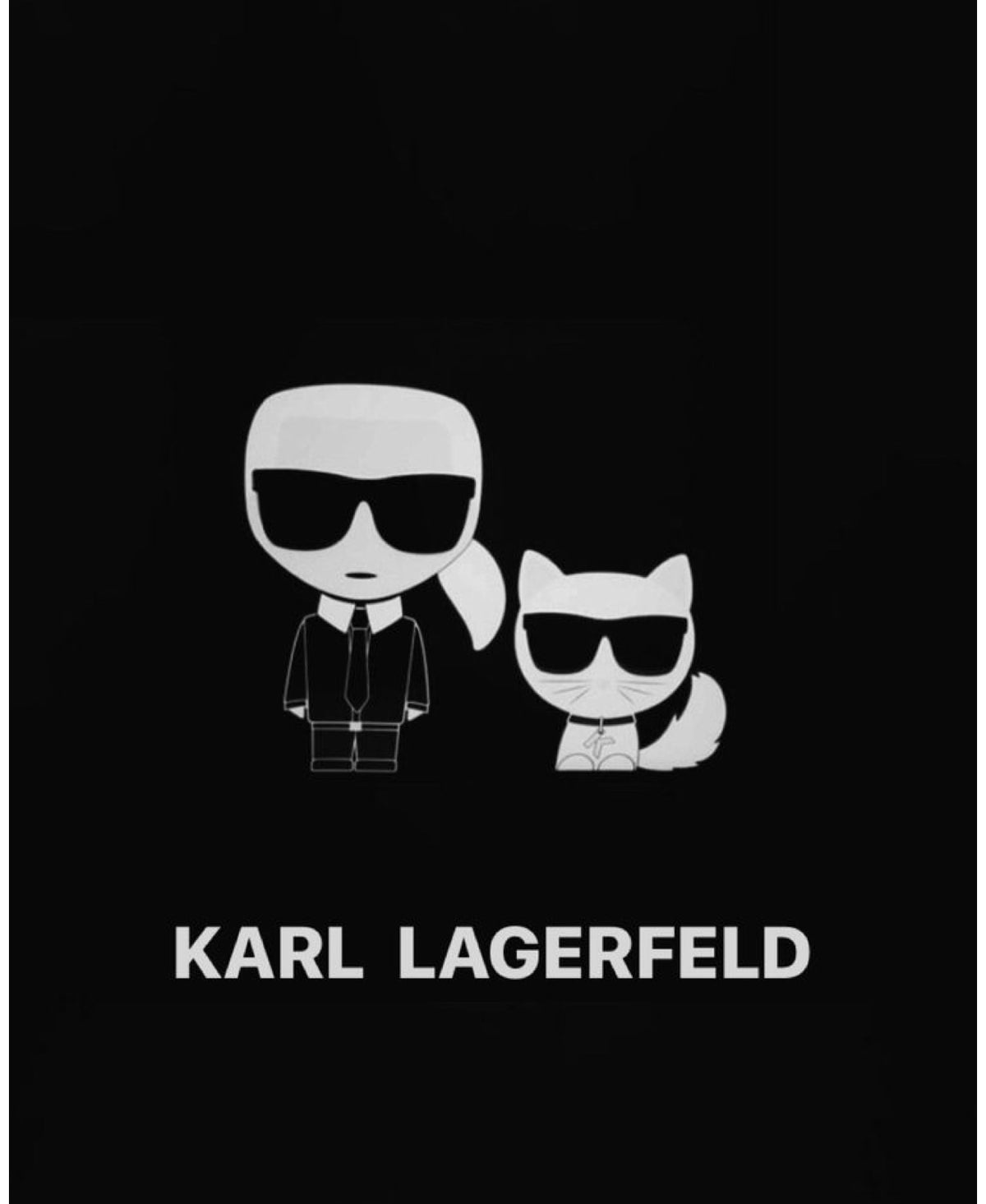 Karl lagerfeld shoes/ accessories