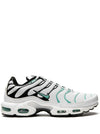 NIKE AIR MAX PLUS "ATMOS